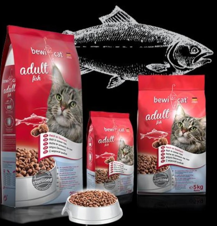 غذای خشک گربه مدل بیوی کت ماهی باطعم ماهی اقیانوس برای گربه های بالغ [در بسته بندی پلمپ واورجینال ]